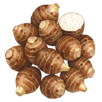 Colocasia / Taro Root	ಕೇಸುವಿನ ಗಡ್ಡೆ