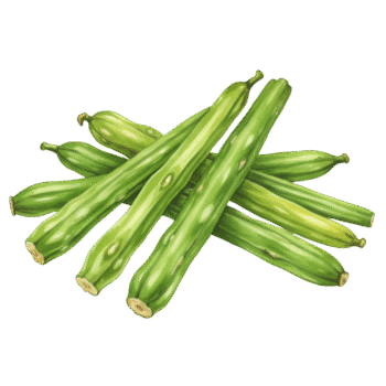 Drumstick ನುಗ್ಗೆಕಾಯಿ