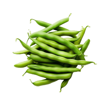 Cluster Beans	ಚವಳಿಕಾಯಿ