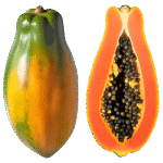 Papaya ಪಪ್ಪಾಯ