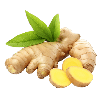 ಶುಂಟಿ	Ginger