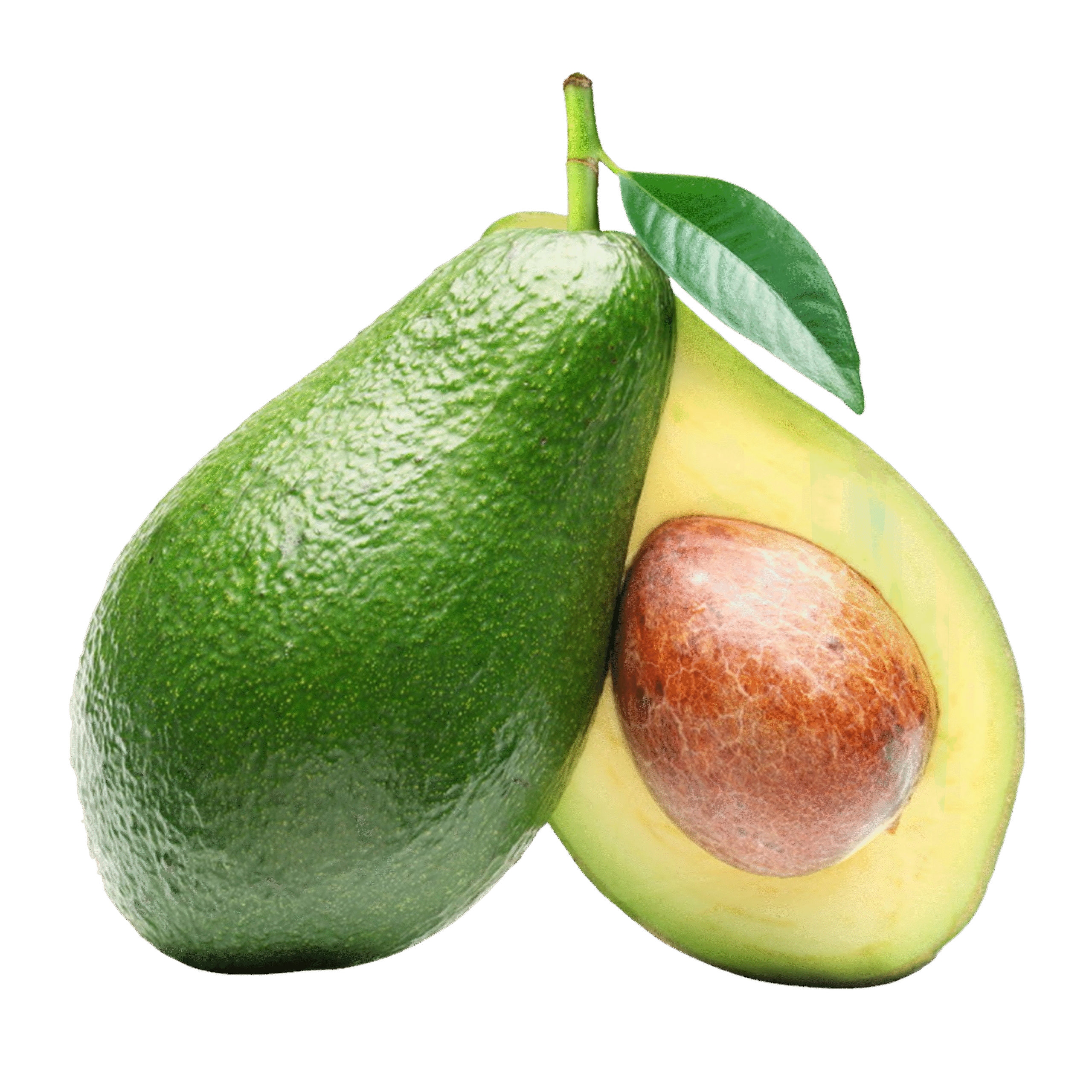 Avocado