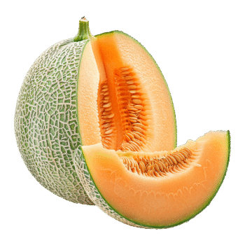 Muskmelon  ಶಮಾಮ್