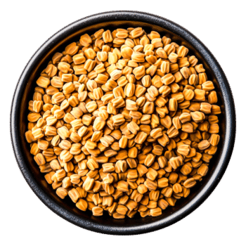 Fenugreek Seeds ಮೆಂತ್ಯ ಕಾಳು