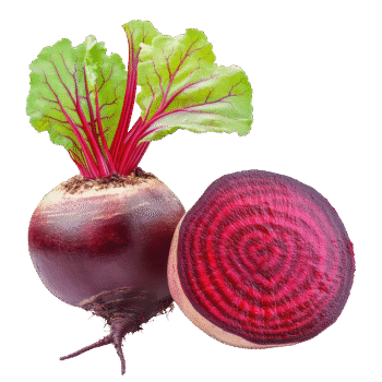 Beetroot	ಬೀಟ್ ರೂಟ್