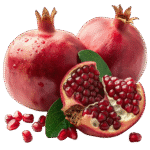 Pomegranate ದಾಳಿಂಬೆ