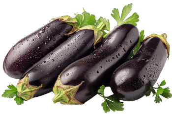 Brinjal-ಬದನೇಕಾಯಿ