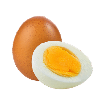 Egg