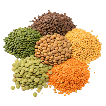 Pulses / Dals - ಬೇಳೆಕಾಳುಗಳು