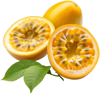 Passion Fruitಪ್ಯಾಷನ್ ಫ್ರೂಟ್
