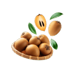 Sapota / Chiko | ಚಿಕ್ಕು / ಸಪೋಟ