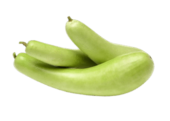 Bottle Gourd-ಸೊರೆಕಾಯಿ