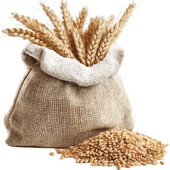 Grains, Rice & Flours