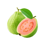 Guava ಸೇಬೆ ಹಣ್ಣು