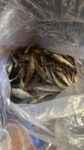 small ayla dry fish