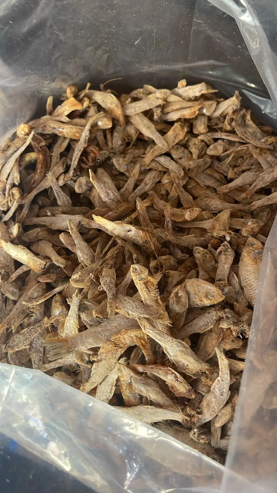 kollacheru