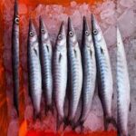 Fish Kandai