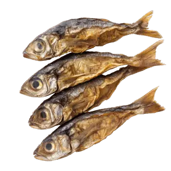 dry fish